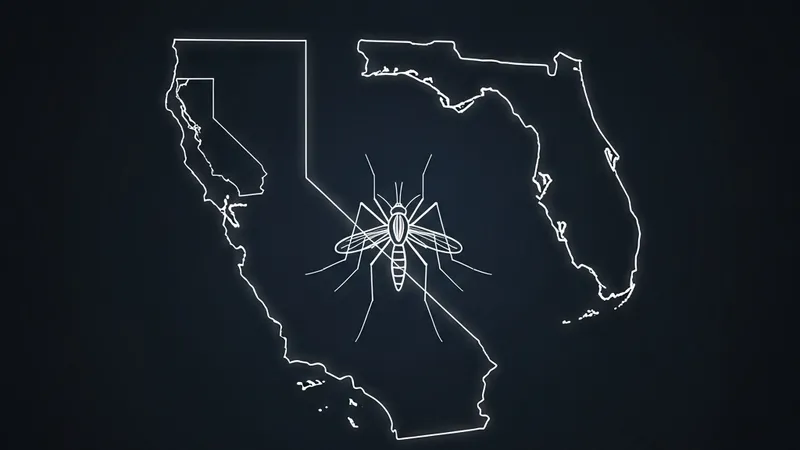 Google's Debug Seeks to Release 32 Million Sterile Mosquitoes in US